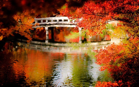 autumn-scenery-wallpaper-Japan06