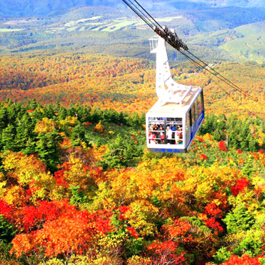 2015 Beautiful Autumn Hokkaido Maple Tour1