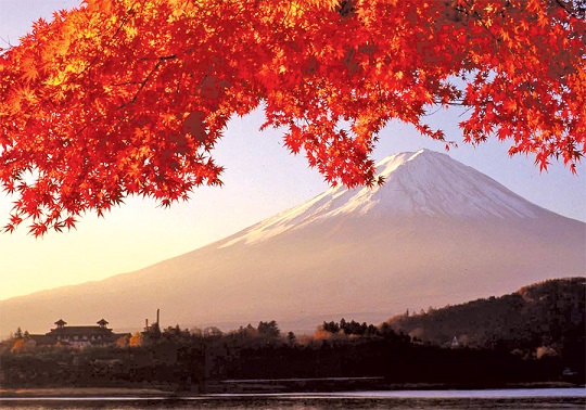 Autumn-Leaves-at-Mt-Fuji-Japan