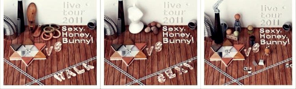 V6 เตรียมจำหน่าย DVD “V6 live tour 2011 Sexy. Honey. Bunny!” 18 มกราคม 2012