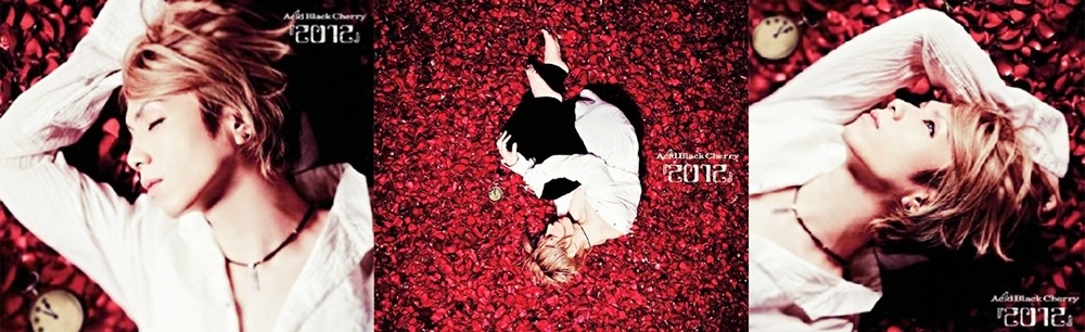 “Acid Black Cherry” เผยหน้าปกซีดีจากอัลบั้มล่าสุด ‘2012’